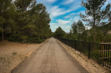 İspanya 'nın Tarragona ilindeki ebro yeşili boyunca manzara