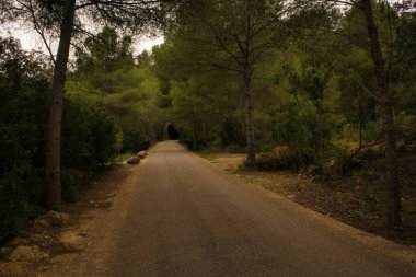 İspanya 'nın Tarragona ilindeki ebro yeşili boyunca manzara