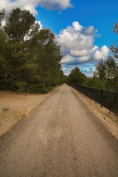 İspanya 'nın Tarragona ilindeki ebro yeşili boyunca manzara