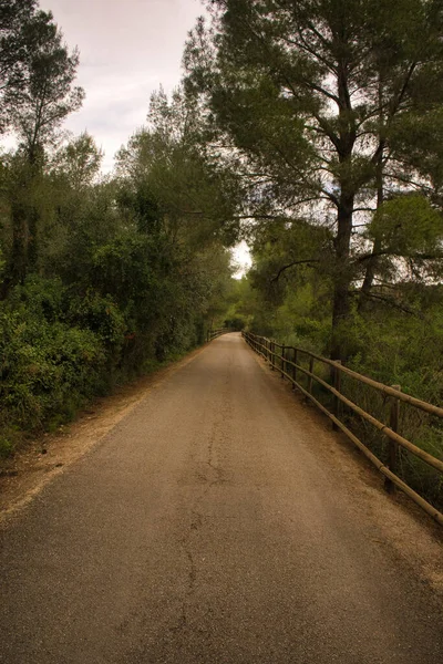 Landschaft Entlang Der Ebro Greenway Der Provinz Tarragona Spanien — Stockfoto