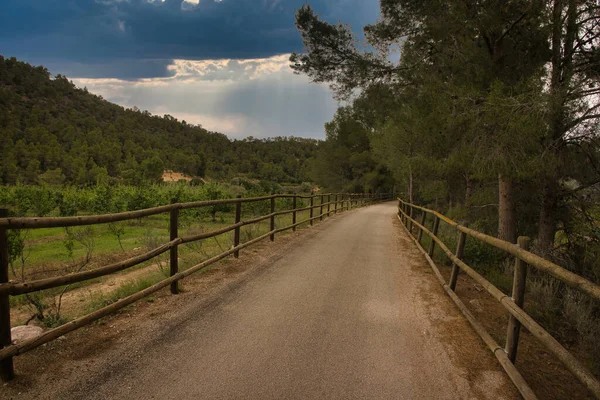Paisagem Longo Verde Ebro Província Tarragona Espanha — Fotografia de Stock