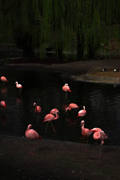 GÖREVLİ SAVAŞ İSTİYOR