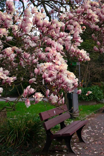 GÖREVLİ SAVAŞ İSTİYOR