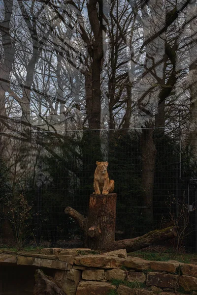 GÖREVLİ SAVAŞ İSTİYOR