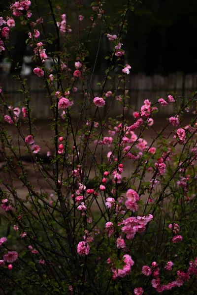 GÖREVLİ SAVAŞ İSTİYOR