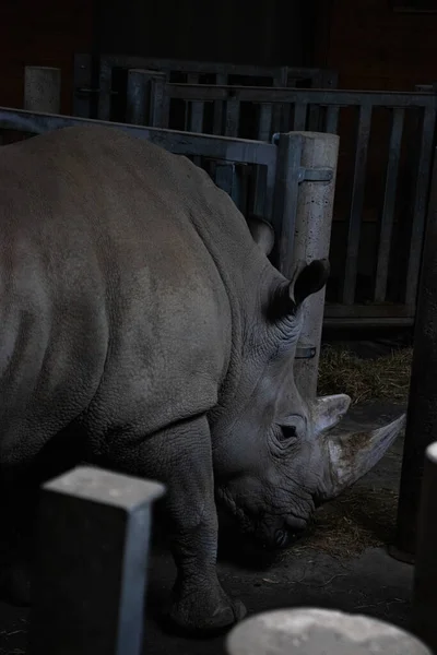 GÖREVLİ SAVAŞ İSTİYOR