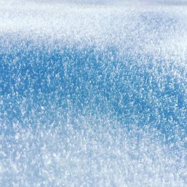 Snow Background Frozen Background Close View Blue White Colors — Foto Stock