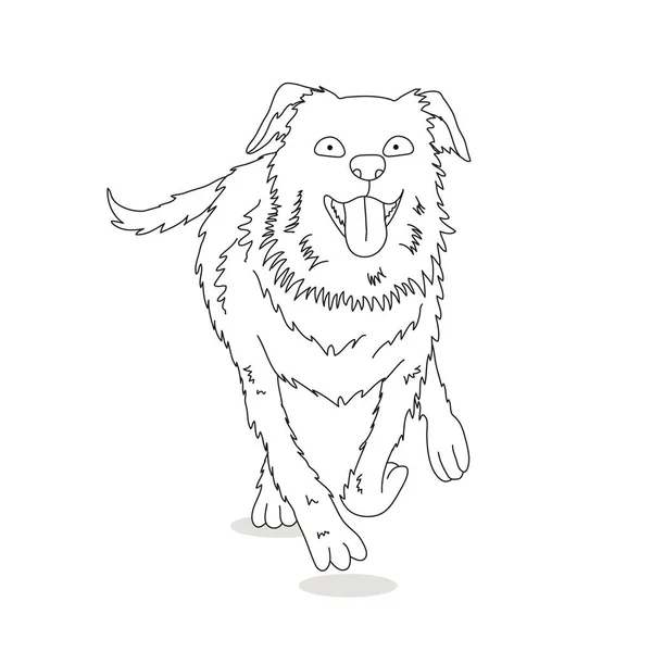 Australian Shepherd Dog Run Full Body Vector Hand Drawing Illustration — Vettoriale Stock