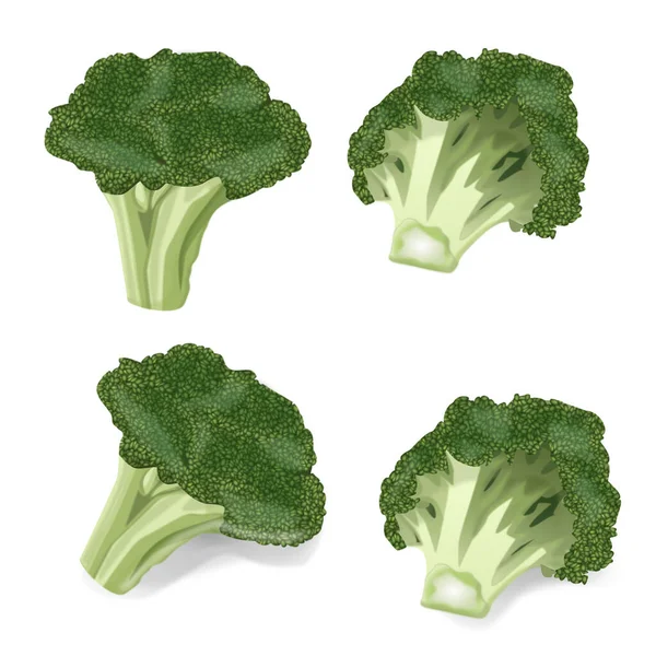 Set Cavoletti Broccoli Verdi Cavolo Cavolfiore Cole Verdura Fresca Vettore — Vettoriale Stock