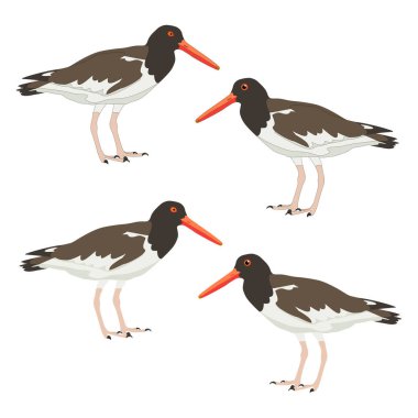 Bir takım istiridye yakalayıcı gerçekçi duruşu sırılsıklam olmuş siyah Amerikalı.