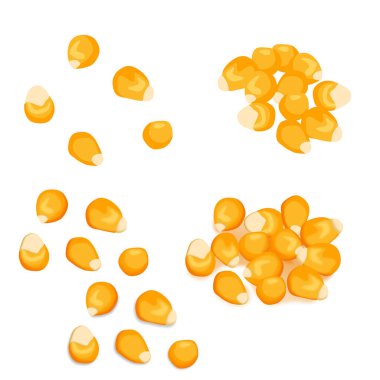 Mısır tanelerini ayrı ayrı ve bir grup sarı kabuklu vektör beyaz arka planda izole edilmiş gölgeler ile