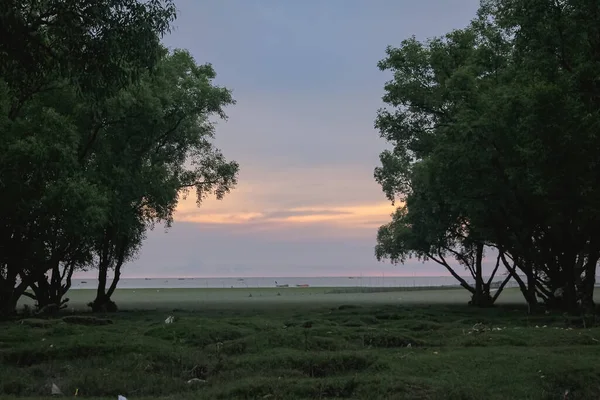 Uma Vista Uma Praia Grama Verde Entardecer Fotografia Tirada Uma — Fotografia de Stock