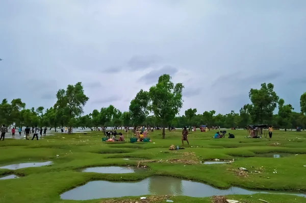 Dalgaların çekildiği bir mangrov ormanı. Turistlerin Mangrove 'a seyahat etmeyi sevdikleri zamandır..