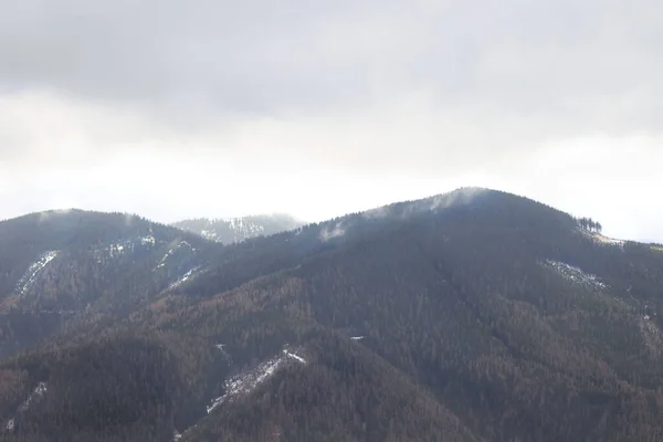 Avusturya dağlarında kış yürüyüşü