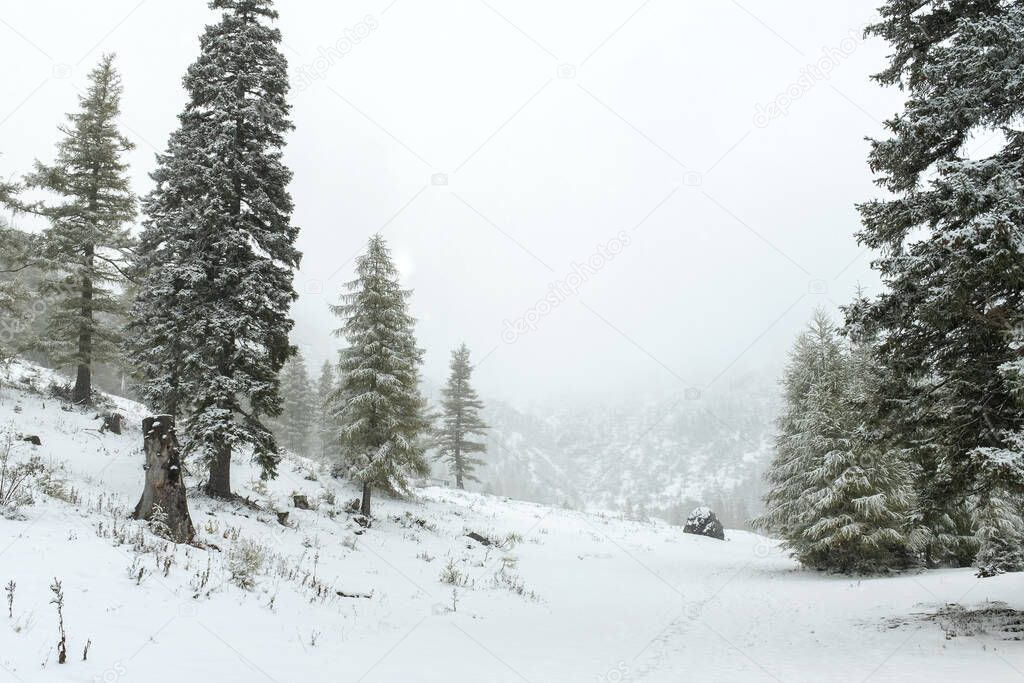 winter landscape Austria Niedersterreich