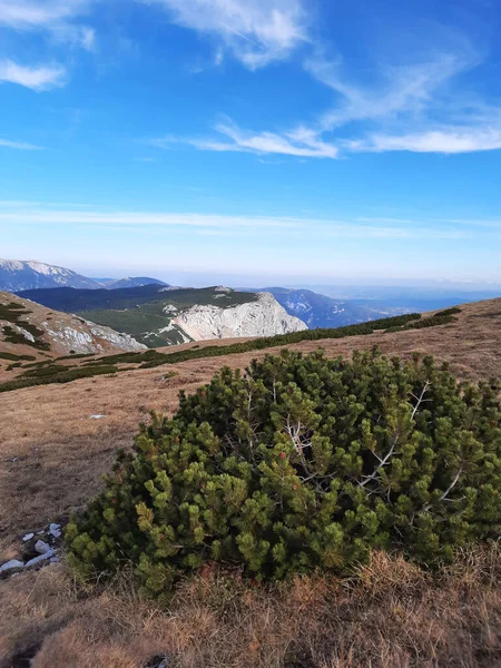 Top Mountain Rax Alps — Stock Photo, Image