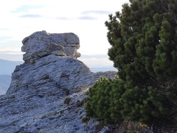 Rocky Dağı Rax bölgesi