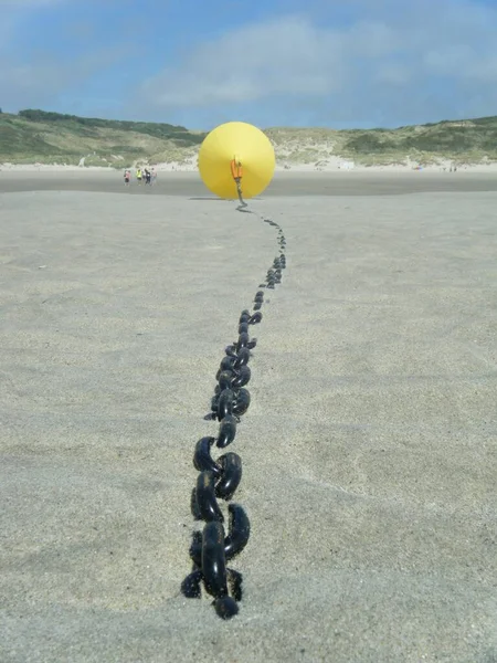 Sahildeki küçük insanlar