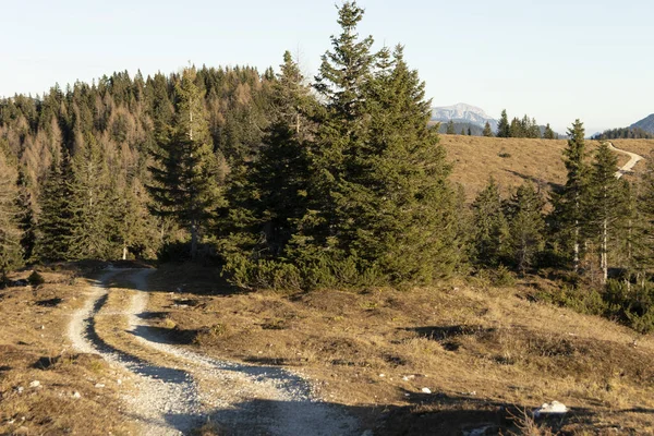 dağların tepesinde Avusturya