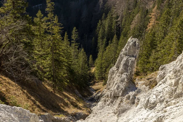 Bir sarp vadinin manzarası