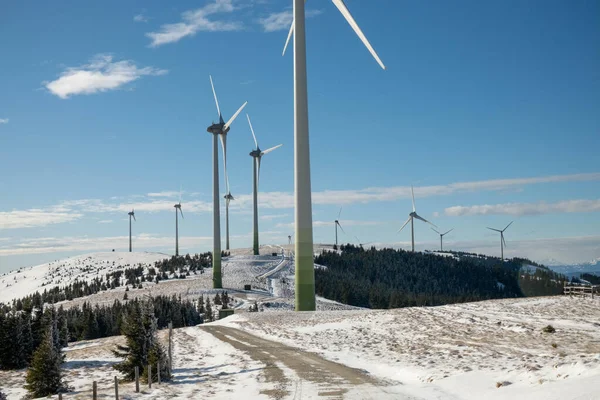 Avusturya rüzgar gülü parkı Aşağı Avusturya