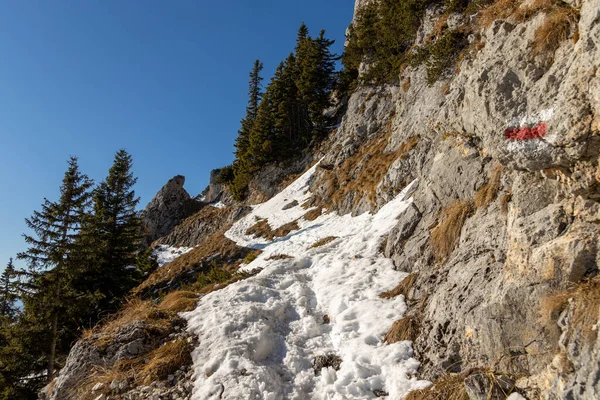Karlı dağ yürüyüşü yolu
