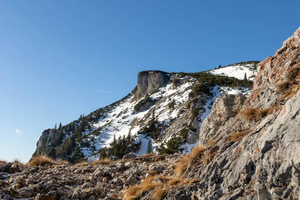 Karlı dağın tepesinin manzarası