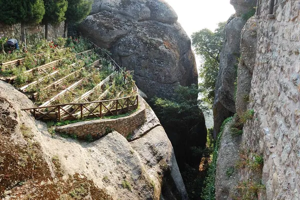 Yunanistan dağlarındaki bir çiftlikte zor çalışma koşulları. Yunanistan, Meteora Vadisi 'ndeki çiçek çiftliği. Güllerle kaplı tepeler dağ geçidinin yamaçlarında yer alıyor. İlginç bir turistik bölge.