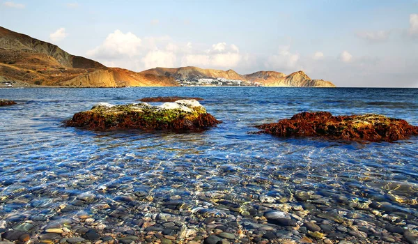 Pebbles Shallow Waters Black Sea Koktebel Karadag Algae Covered Rocks — Stock Photo, Image