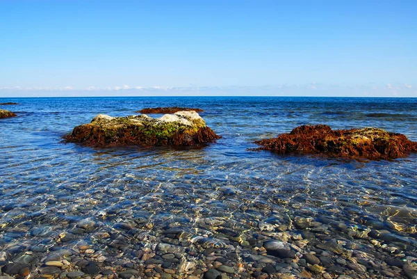 Karadeniz 'in sığ sularında çakıl taşları. Koktebel ve Karadag yakınlarında. Yosun kaplı kayalar Koktebel ve Karadağ yakınlarındaki Karadeniz 'in berrak kıyı sularından sarkıyor.