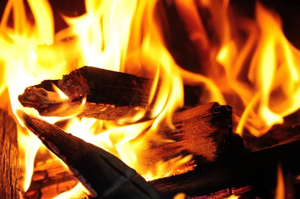 Sıcak ateşin alevi. Kamp ateşinde ateş yanıyor, ahşap parlak bir şekilde yanıyor, kömüre dönüşüyor. 