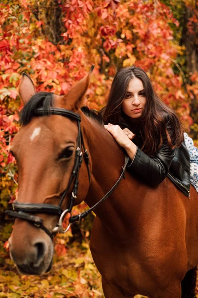 Hermosa chica en el otoño en el bosque con un caballo marrón —  Fotos de Stock