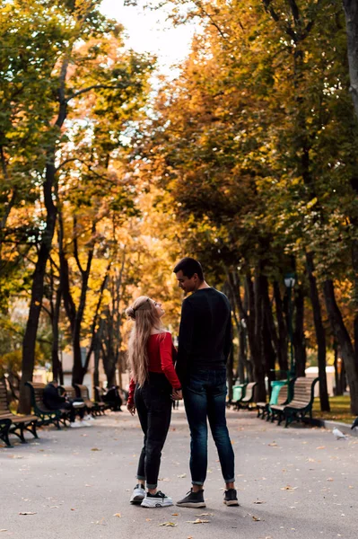 Verliefd stel wandelend in het park hand in hand — Stockfoto