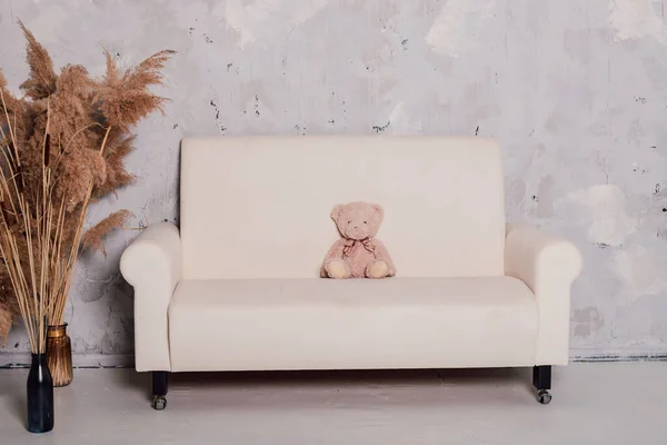 Teddy urso senta-se em um belo sofá branco — Fotografia de Stock