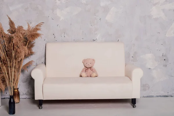 Teddy urso senta-se em um belo sofá branco — Fotografia de Stock