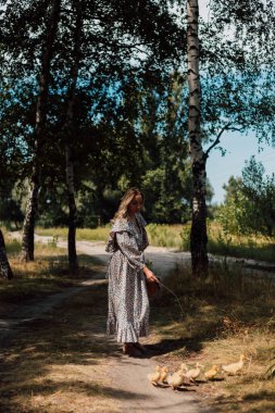 Elbiseli güzel bir kadın elini uzatıyor ve ördek yavrularını çağırıyor.