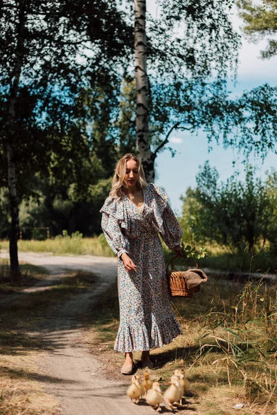 Elbiseli güzel bir kadın elini uzatıyor ve ördek yavrularını çağırıyor.