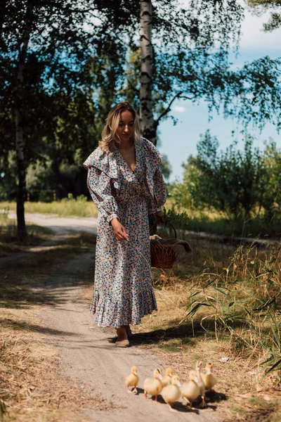 Elbiseli güzel bir kadın elini uzatıyor ve ördek yavrularını çağırıyor.