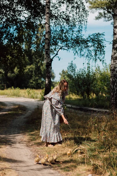 Elbiseli güzel bir kadın elini uzatıyor ve ördek yavrularını çağırıyor.