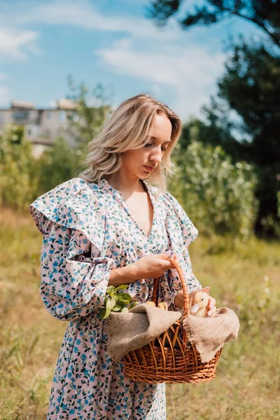 Genç ve güzel bir kız elinde ördek yavrusuyla bir sepet tutuyor.