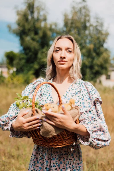 A young beautiful girl holds a basket with ducklings in her hands — Fotografia de Stock
