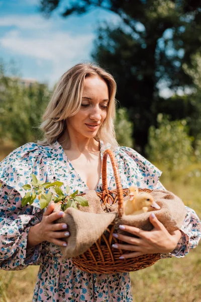 Genç ve güzel bir kız elinde ördek yavrusuyla bir sepet tutuyor.