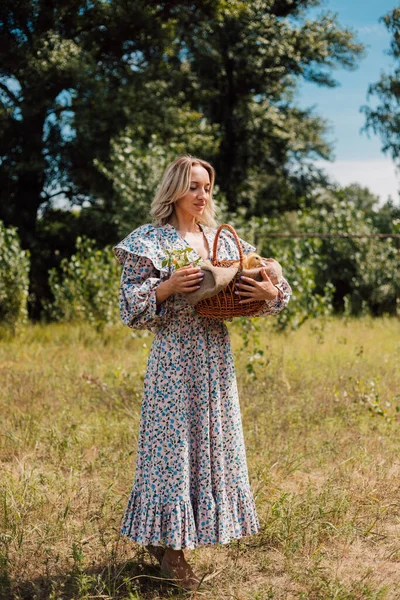 A young beautiful girl holds a basket with ducklings in her hands — Foto de Stock