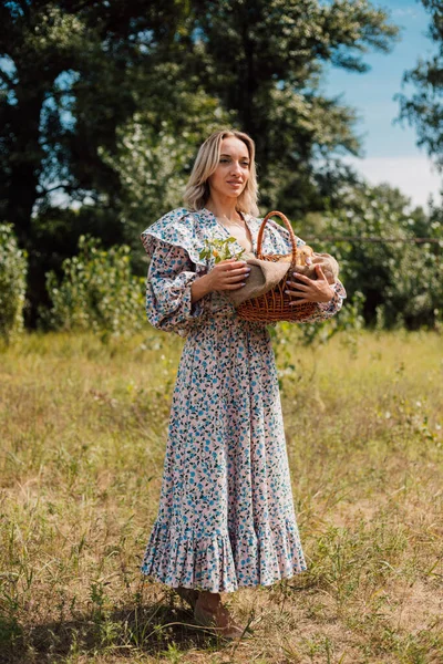 A young beautiful girl holds a basket with ducklings in her hands — Foto de Stock