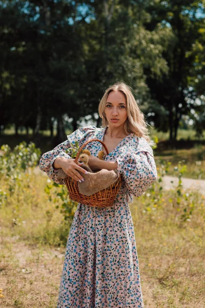 A young woman in long dress holds a basket of ducklings and smiles — 스톡 사진