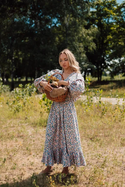 Uzun elbiseli genç bir kadın bir sepet ördek yavrusu tutuyor ve gülümsüyor.