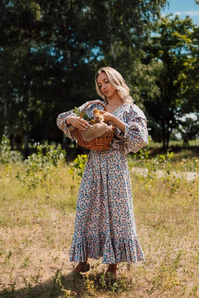 A young woman in long dress holds a basket of ducklings and smiles — Photo