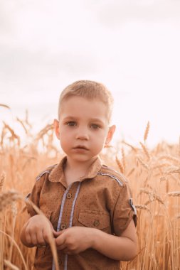 Üzgün bir çocuk buğday tarlasında duruyor ve önüne bakıyor..
