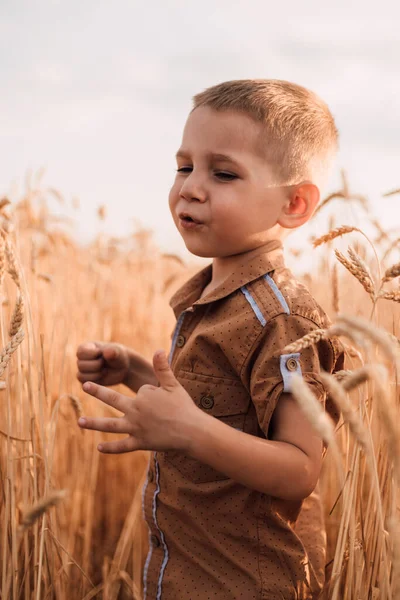Küçük bir çocuk buğday tarlasında duruyor ve bağırıyor