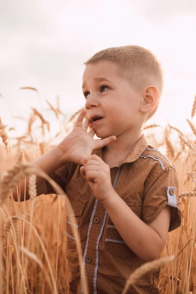 A little boy stands in a field in wheat and looks away. — ストック写真